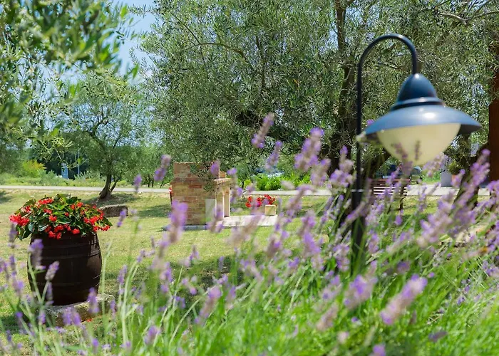 Sani-1 By Interhome شقة